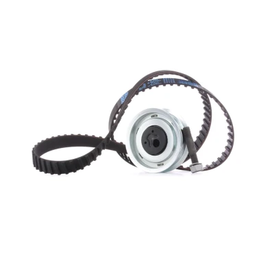 Image of 026109243, 026109243A, 026109243C, 026109243E, 026109243F Timing belt kit INA 530 0149 10 124 with bolts, nut plain washer