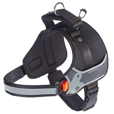 Image of Ferplast Dog Harness HERCULES XXL, Adjustable, Padded, Resistant, Scratchproof, Visible in the Dark, with Handle
