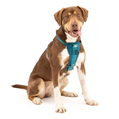 Image of Tru Fit Smart Harness