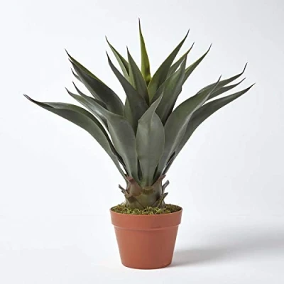 Image of HOMESCAPES Green Agave Americana Artificial Succulent Plant with Brown Pot, 60 cm (24&quot;)