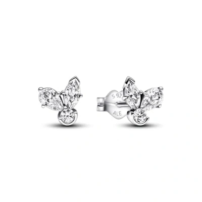 Image of Pandora Sparkling Herbarium Cluster Stud Earrings Sterling Silver Gift for Her No Box
