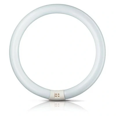 Image of Philips G10q 22W 840 fluorescent ring Master Circular TL E