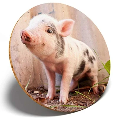 Image of 1 x Micro Pig Farm Animal Round Coaster Kitchen Student Kids #15589