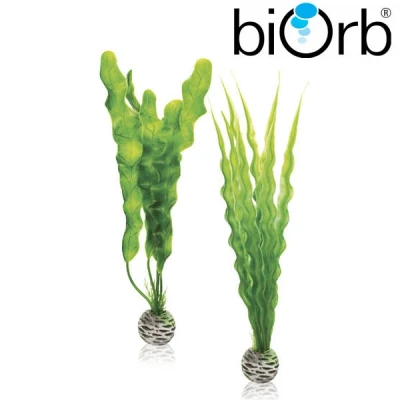 Image of biOrb Plant Set M green