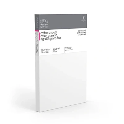 Image of Winsor &amp; Newton 6205022 Professional Stretcher Frame Fine Grain Canvas with 280 g/m² 100% Cotton Triple Primed for Watercolour, Oil Paints, Acrylic Paints 20 x 30 cm