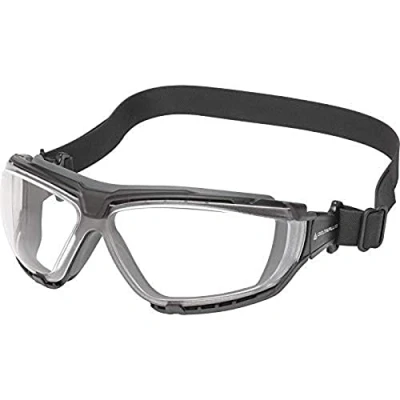 Image of Delta Plus GOSPTIN Clear Adjustable Polycarbonate Glasses