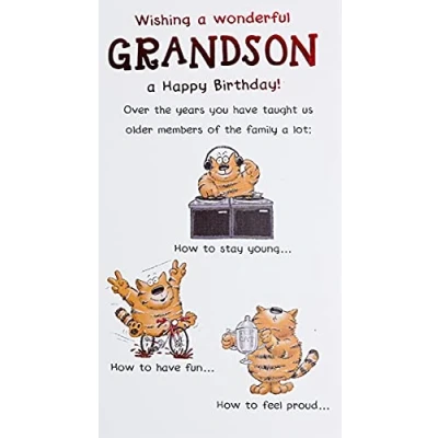 Image of Paperlink Wonderful Grandson Funny &#039;Happy Birthday&#039; Card Top Cat &#039;Taught Us How to Use Our Phones&#039; Foil Finish For Him The Farm Range