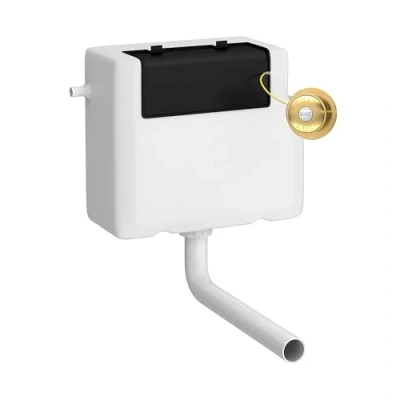 Image of Universal Water Saving Dual Flush Side Inlet &amp; Traditional Push Button Brushed Brass/White