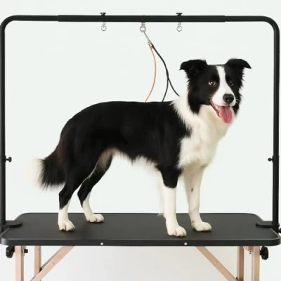 Image of Gravitis Pet Supplies Overhead Grooming Arm with Clamps and Harness Suitable for use Dog Table Black