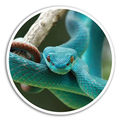 Image of 2 x 10cm Blue Viper Snake Vinyl Stickers Wild Sticker Laptop Luggage #8295 (10cm Wide)