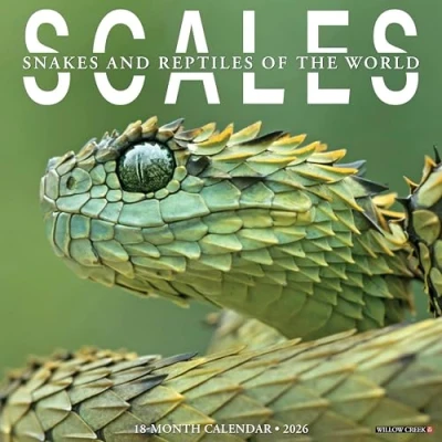 Image of Scales, Snakes &amp; Reptiles Calendar 2026