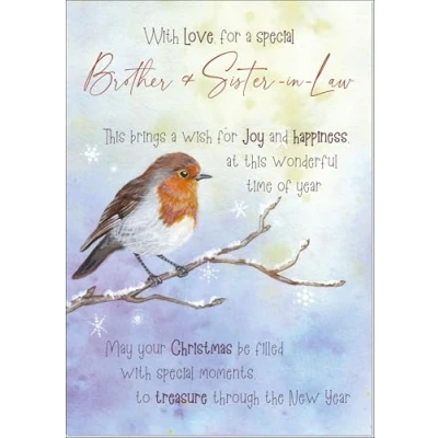 Image of doodlecards Brother and Sister In Law Christmas Card Watercolour Robin The Frost Medium Size with Plain Envelope