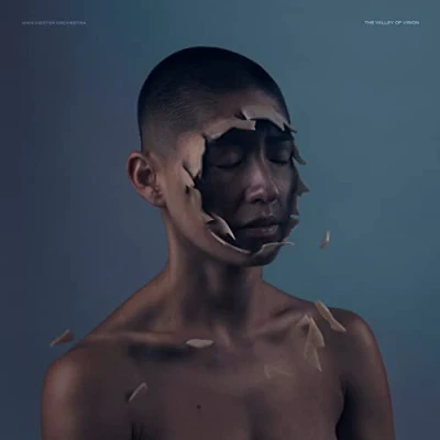 Image of The Valley Of Vision [VINYL]
