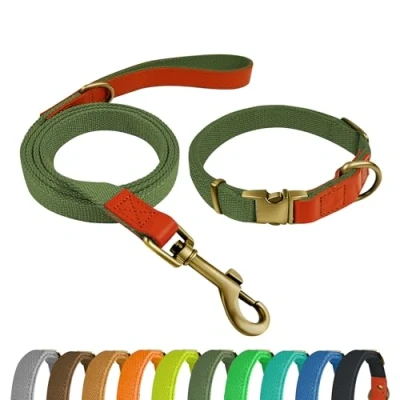 Image of QRDA Dog Collar and Lead Set Army Green Personalized Adjustable Tactical Belt for Small Dogs Medium