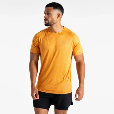 Image of Dare 2b Men&#039;s Lightweight Persist T Shirt Buckskin Marl, Size: L