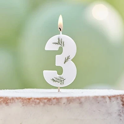 Image of Ginger Ray Birthday Cake Candle Decoration Foliage Floral Eco Number 3