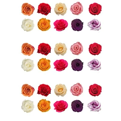 Image of Top That 30 Mixed Color Rose Flower Wafer Paper Cake Toppers (30 Pieces)