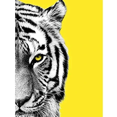 Image of Wee Blue Coo Close up Beasties Tiger Unframed Art Print Poster Wall Decor 12x16 inch