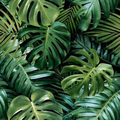 Image of Arthouse Wallpaper Living Wall 924108