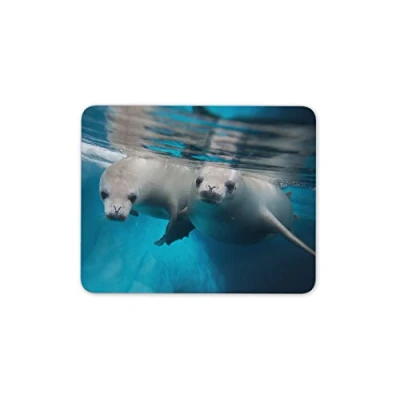 Image of Cheeky Seal Pups Mouse Mat Pad Scuba Diving Sea Seals PC Computer #8251