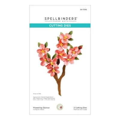 Image of Spellbinders S4 1346 Flowering Quince Etched Dies from The Nature&#039;s Botanical Garden Collection by Susan Tierney Cockburn