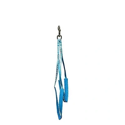 Image of Groom Professional Complete Body Restraint Paw Print, Cyan Blue