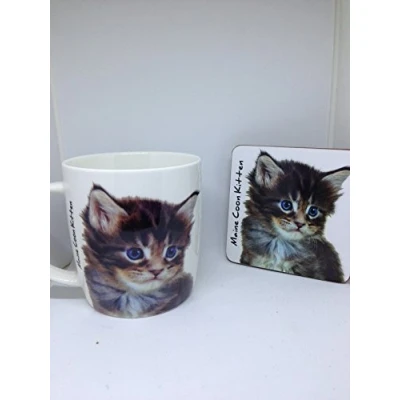 Image of Maine Coon Kitten Mug and coaster set