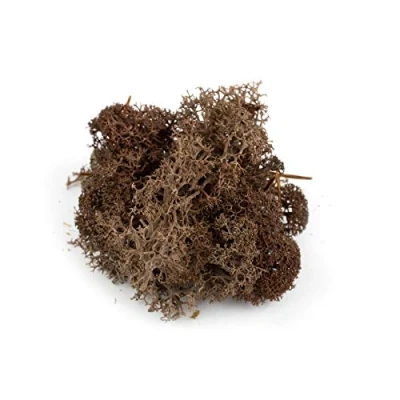 Image of War World Scenics Lichen Brown Moss Model Foliage 60g Railway Wargame Scenery Landscape Modelling Trees Bushes Hedges Diorama Basing Material