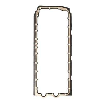 Image of 11137548031 Sump Gasket REINZ 71 38669 00 Elastomer BMW: 6 Coupe, 3 Saloon, Coupe