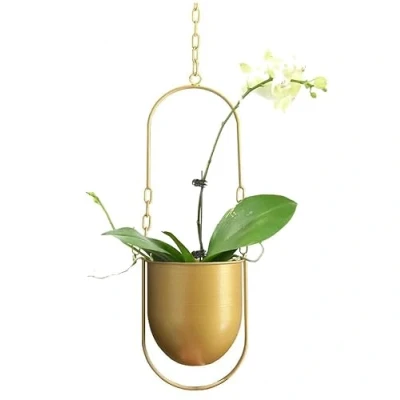 Image of Beihaoer Hanging Decoration Pot Metal Boho Basket Ceiling Planter for Indoor Plants Succulents Air Cactus (Gold)