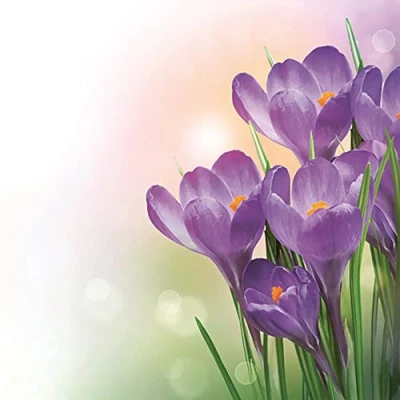 Image of DAISY 3 Ply Flowery Tissue Paper Napkins Serviettes for Decoupage Lunch 33cm x Pack of 20 (Bunch Violet Crocuses)