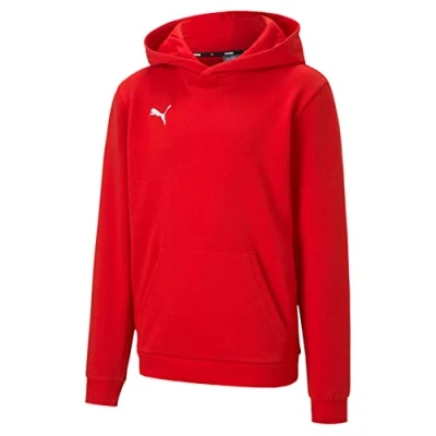Image of Puma Boys&#039; teamGOAL 23 Casuals Hoody Jr Pullover, Red, 128