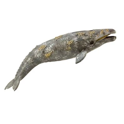 Image of CollectA Gray Whale