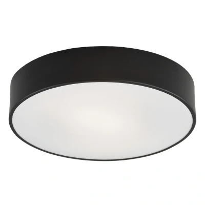 Image of Darling 25cm Flush Ceiling 2 Light Black Structure