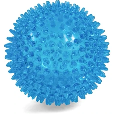 Image of Petface (Toyz by Petface) Space Ball, Medium, Blue