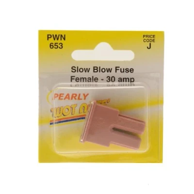 Image of Pearl PWN653 30A Type J Slow Blow Fuse