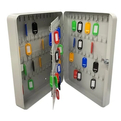 Image of ARREGUI PLL160 Fixed Cabinet for 160 Keys, Painted Steel, 37 x 28 8 cm, Light Grey
