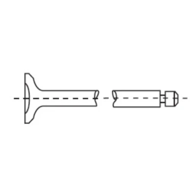 Image of C40112111A Inlet Valves AE V95039 28,1mm Valve stem tip hardened FORD: Focus 2, FIESTA 6, 6 Van