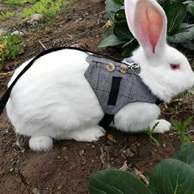 Image of Pssopp Rabbit Harness Leash Cute Bunny Vest and Set With Button Decor Pets Adjustable Formal Suit Style Plaid Stripe Grey(L)