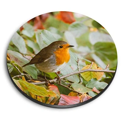 Image of 1 x Round MDF Magnet Cute Red Robin Bird Garden Winter 14318