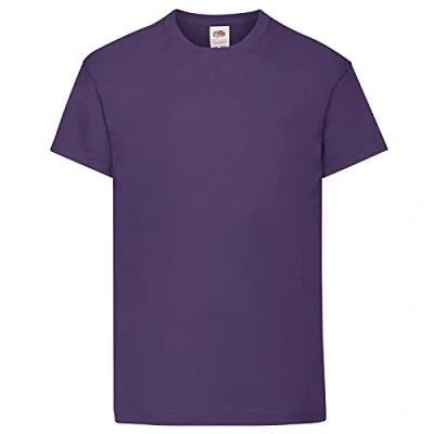 Image of Fruit of the Loom Childrens/Kids Original Short Sleeve T Shirt (5 6 Years) (Purple)