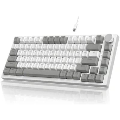 Image of YINDIAO AK820 Mechanical Keyboard with CNC Knob Control,75% ANSI Layout,82Keys Gasket Mount Wired Gaming Keyboard,5 Sound Absorbing Foam,Hot swappable,White Backlit,for PC,MAC (Grey&amp;White)