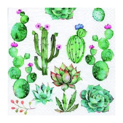 Image of Anniversary House Tiflair Cactus &amp; Succulents Lunch Napkins 3 ply,Multi coloured,33 centimeters