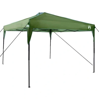 Image of Vidaxl Canopy Tent Green 300 x 227 / 236 245 cm Oxford fabric