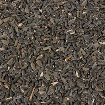 Image of Wild Bird Food (2kg, Black Sunflower)