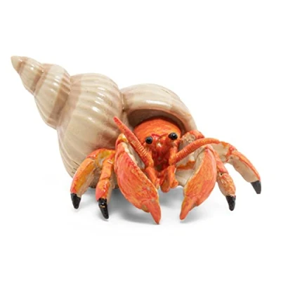 Image of Papo Animal figurine Hermit crab, Marine Discovery, toys for children from 3 years Hand painted Underwater Adventure Young Explorers