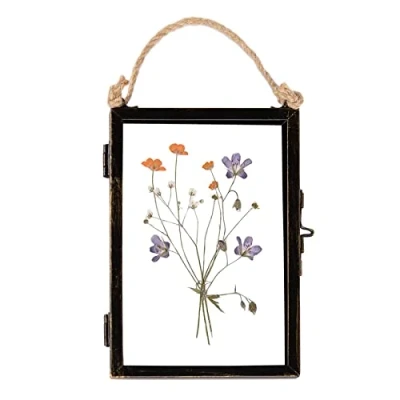 Image of 4&quot; x 6&quot; Black Hanging Metal Photo Frame By Nicola Spring