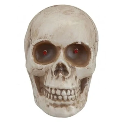 Image of Sinister Skull With Glowing Red Led Eyes Lifelike Detail &amp; Realistic Design Perfect Halloween Decor Pack of 1