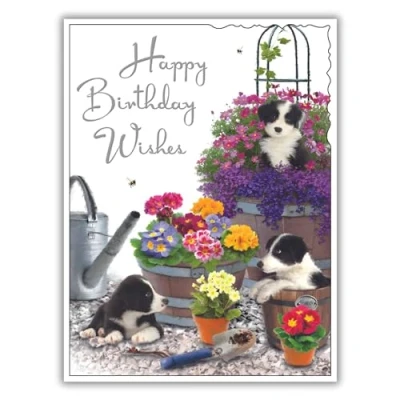 Image of Female Birthday Card for Her General Women Dog and Garden Design Border Collie Puppies in Flower Pots Special Finishes Illustrated Insert Leaf Made the UK