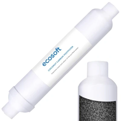 Image of BWT CHV2010ECOPKG Carbon Post Filter, Plastic